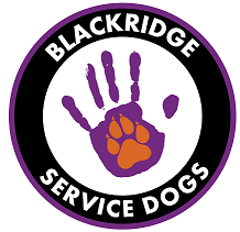 BlackRidge Service Dog